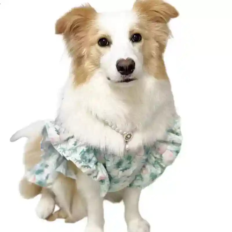 Summer Dog Clothing - Pet Clothes Spring and Summer Cute