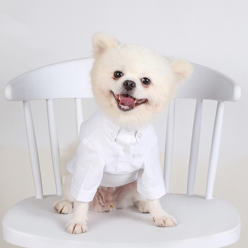 Spring and Autumn Pet Bottomin - огляд і ціна Summer Dog Clothing