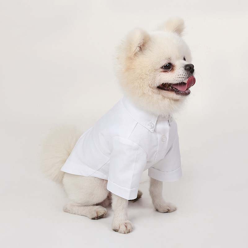 Spring and Autumn Pet Bottomin - огляд і ціна Summer Dog Clothing