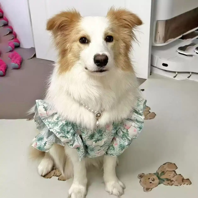 Pet Clothes Spring and Summer  - огляд і ціна Summer Dog Clothing