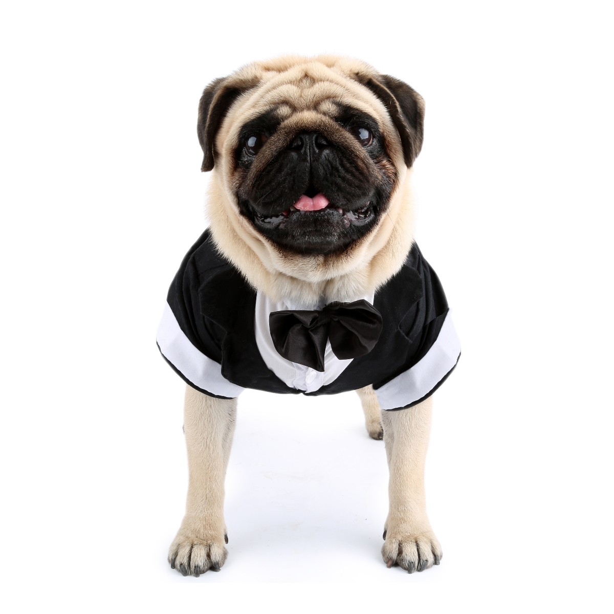 Dog Shirt Puppy Clothes, Pet W - огляд і ціна Summer Dog Clothing