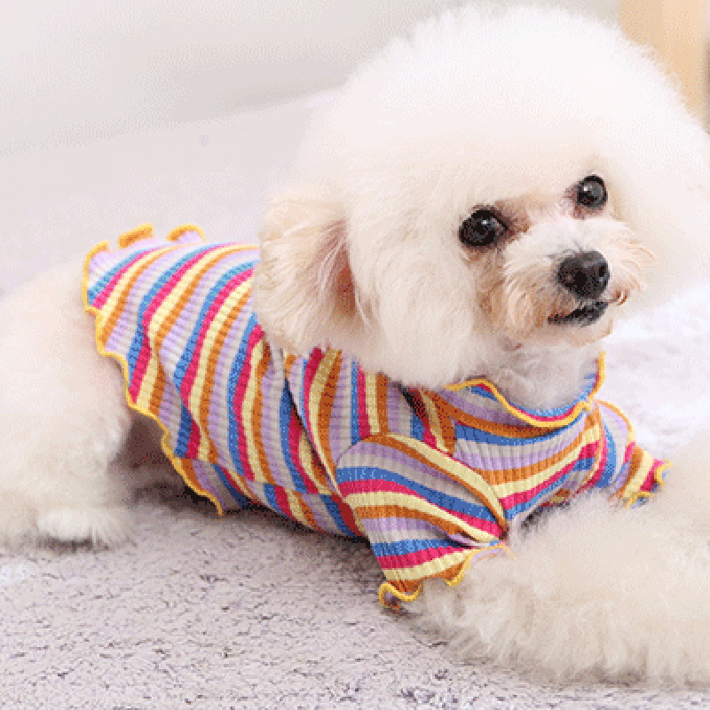 Pet Dog Clothes Puppy Vest T-s - огляд і ціна Summer Dog Clothing